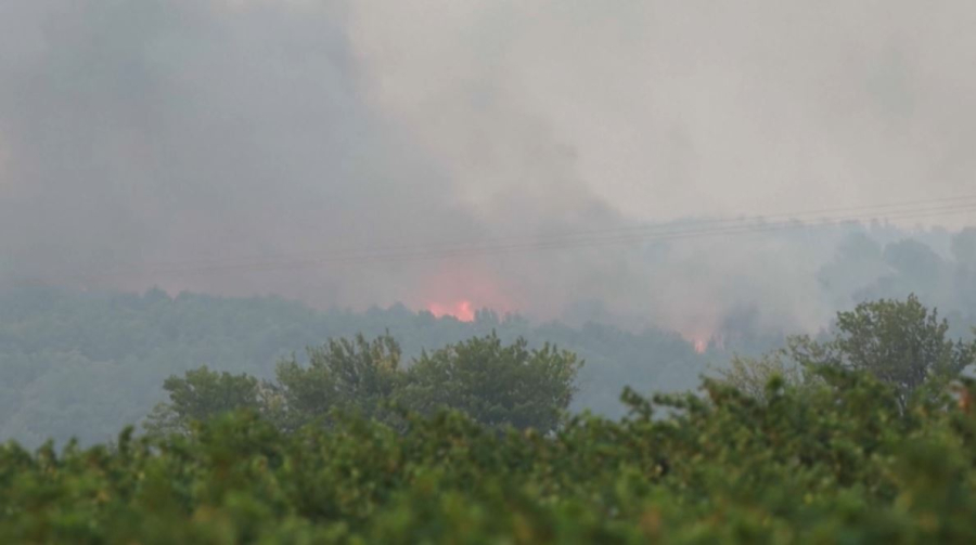 Больше 11 тысяч гектаров леса сгорело за ночь во Франции