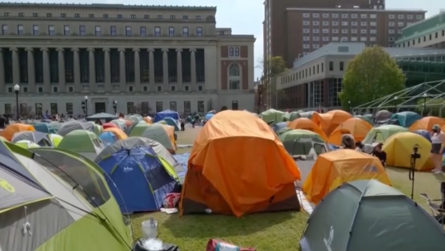 Власти США аннулировали почти 1500 студенческих виз