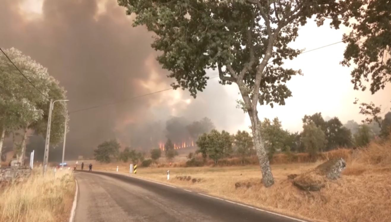 Португалияда орман өрті өршіп тұр