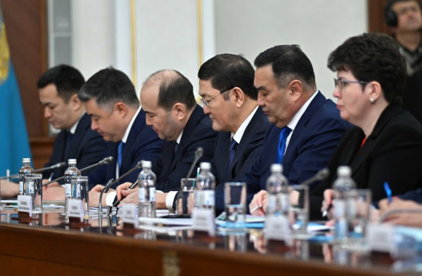 Тоқаев: Су ресурстары министрлігінің жұмысы нәтиже берген жоқ