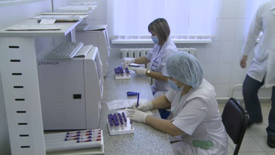 СҚО-да 408 адамды кене шақты