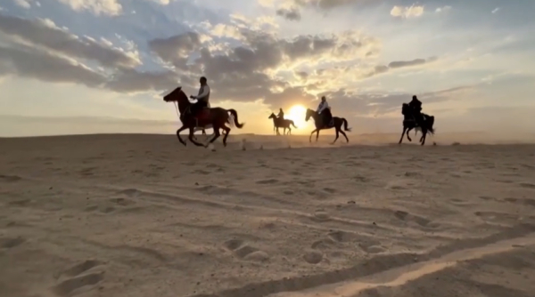 Түркияда жылқы сойғандар сотталады