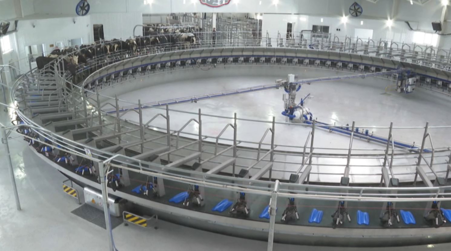 Елімізде агромаркетплейс іске қосылады