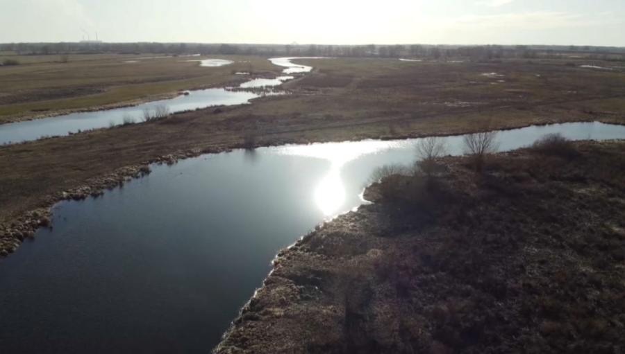 Павлодар облысында су құзғындарының саны реттеледі