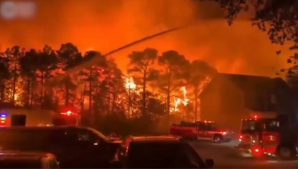 Америкада орман өртеніп жатыр