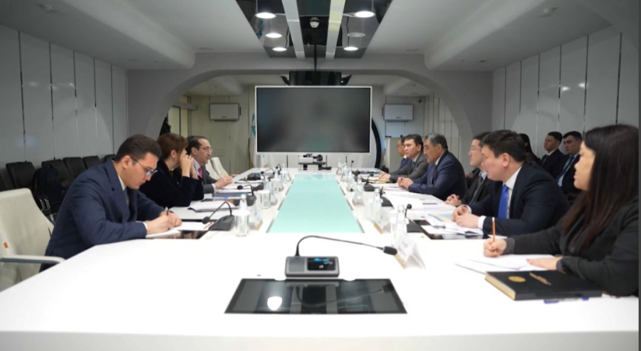 Солтүстік Аралды сақтау тетіктері қаралды