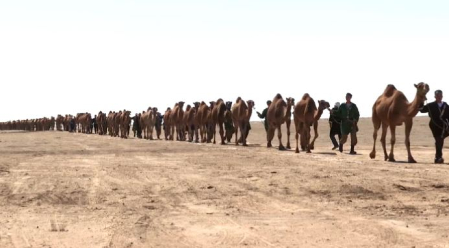 Қазақстандық кәсіпкер әлемдік рекорд орнатты 