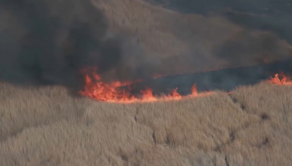 Құрманғазы ауданында қамыс өртеніп жатыр