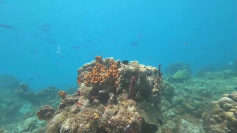 Жерорта теңізі алты градусқа жылыды