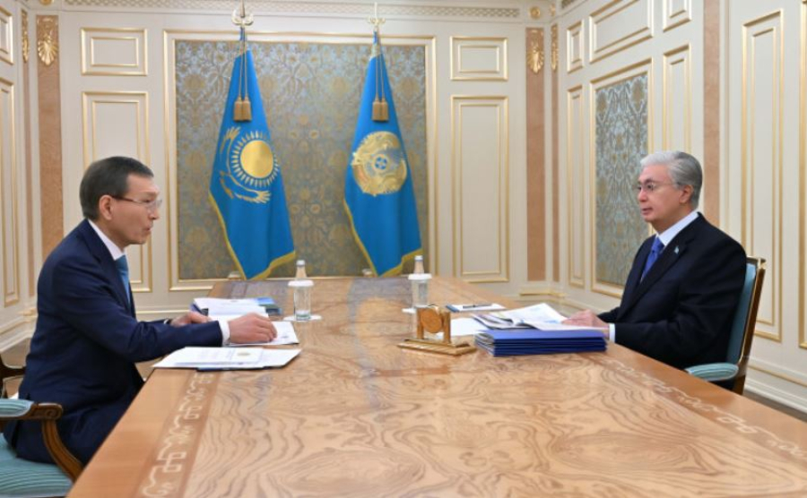 Президент Орталық референдум комиссиясының төрағасын қабылдады