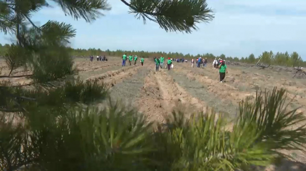 Абай облысы «Таза Қазақстан» акциясына белсенді қатысып жатыр
