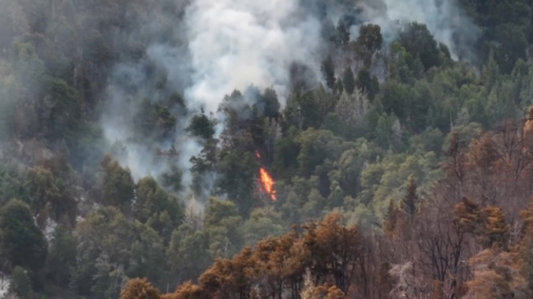 Пожары в Аргентине уничтожили за сутки более 3 тысяч га леса