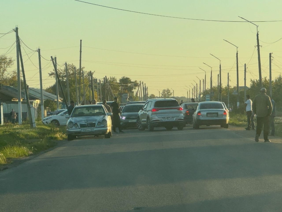 Ақмола облысында 8 жасар қызды көлік қағып, ауруханада көз жұмды