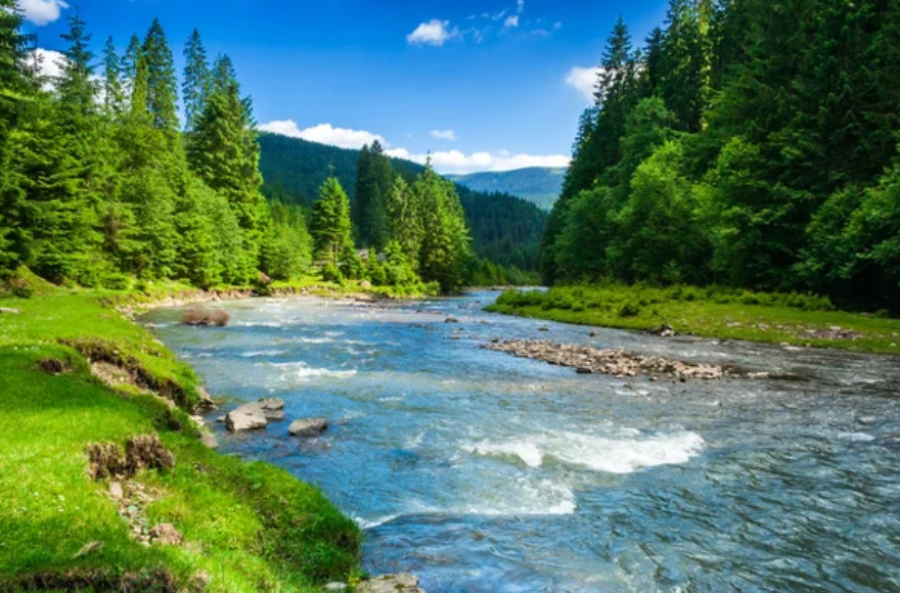 Школьники создали робота для защиты окружающей среды