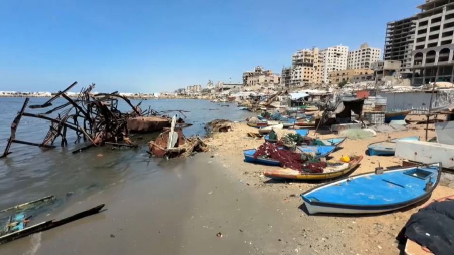 Газаны ашаршылық жайлап барады