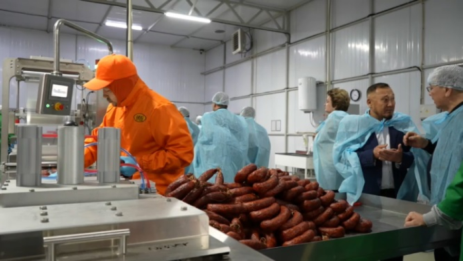 Агросектору области Абай нужна перезагрузка – сенаторы