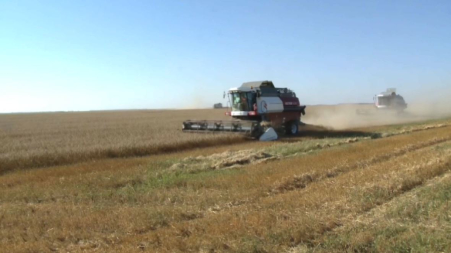 Государство возвращает неиспользуемые сельхозземли в оборот