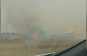 Степной пожар подбирается к жилым домам в ЗКО
