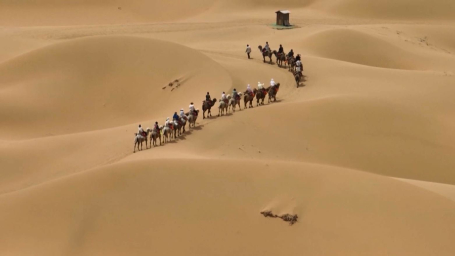 Қытайлар шөлді жасыл алқапқа айналдырып жатыр