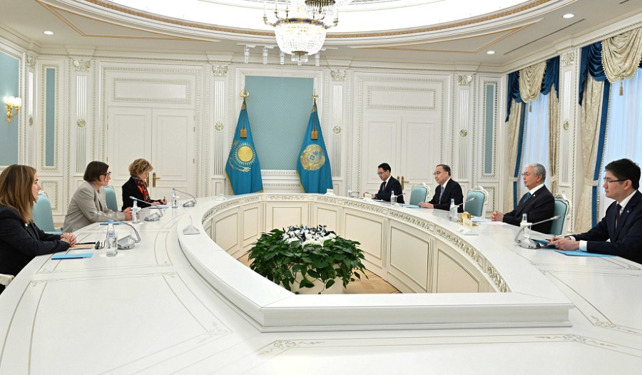 Президент принял главу Красного Креста