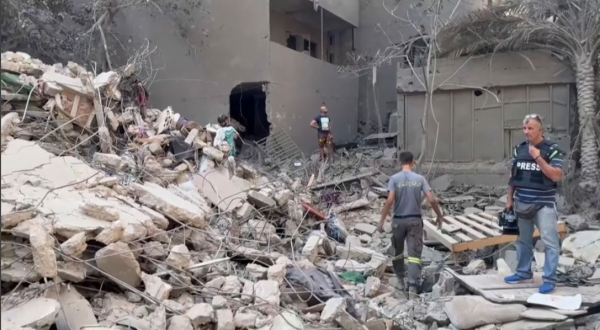 Бейруттегі қақтығыс алаңынан үй жануарлары құтқарылды