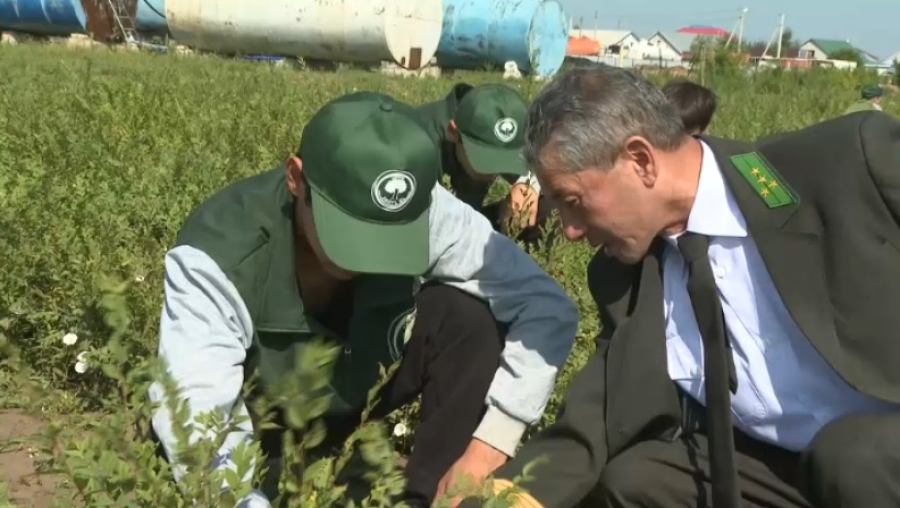 Для бойцов «Жасыл ел» организовали мастер-класс