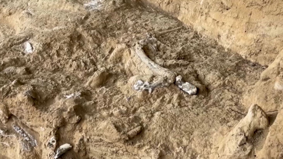 Грузиядан ежелгі адамның сүйегі табылды