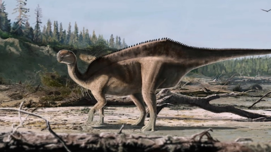Новый вид динозавров открыли ученые