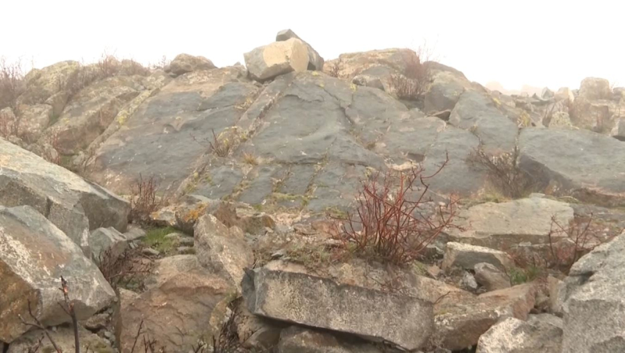 Жетісу облысында үш экопарк салынады