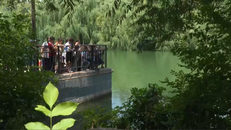 Шымкенттегі дендросаябақта кітапхана мен шахмат клубы салынып жатыр