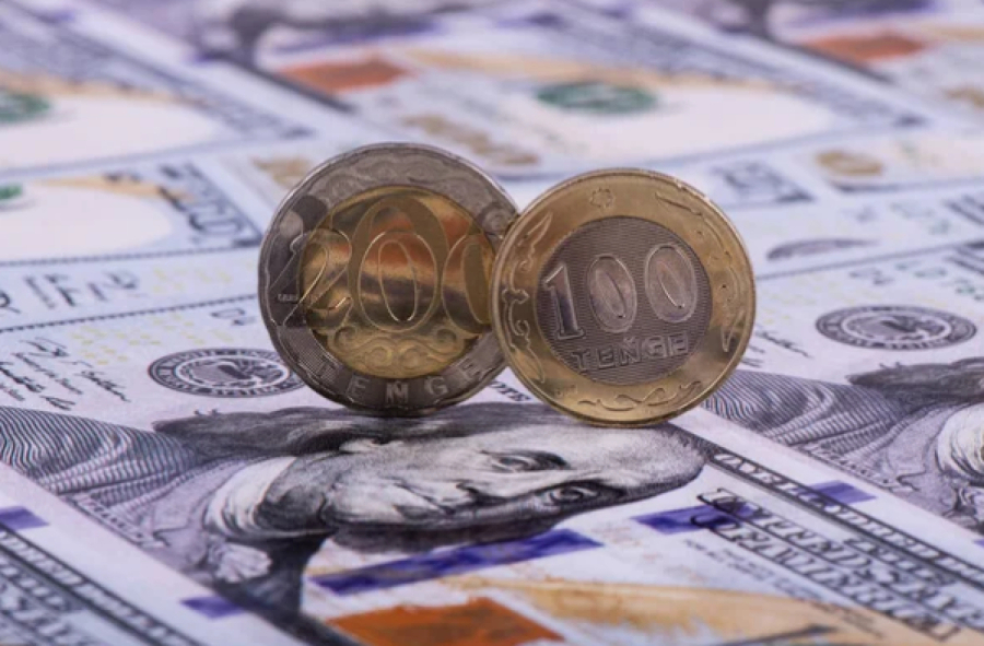 Президент: Салықтан түскен әр теңге халықтың игілігіне жұмсалуға тиіс