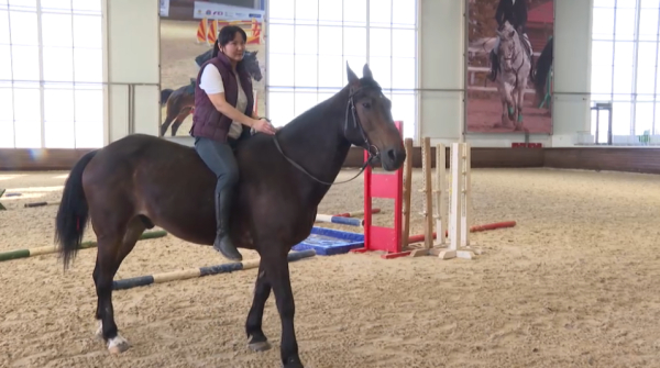 Иппотерапия. Заңгердің сүйікті кәсібі