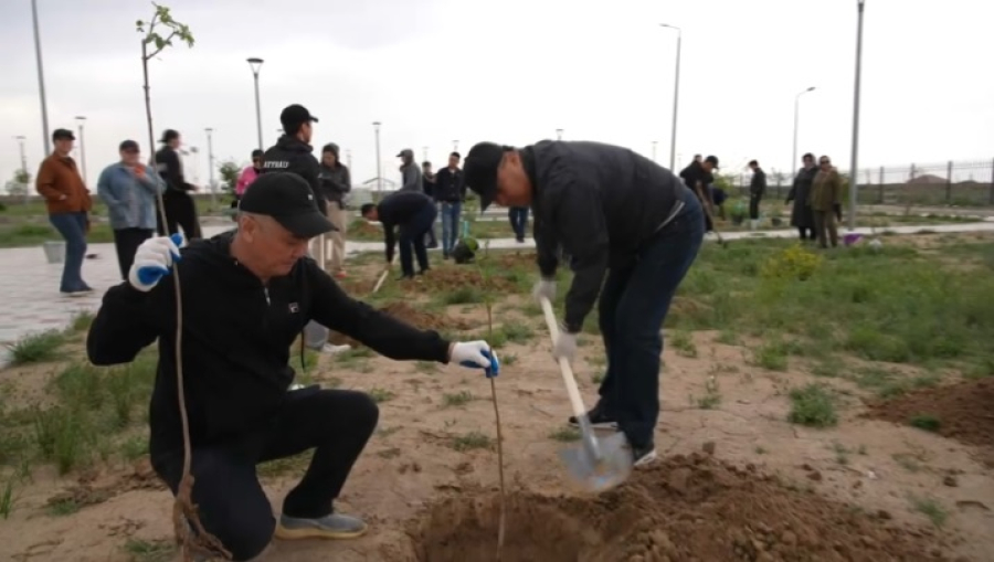 Экологическая акция состоялась в городище Сарайшык