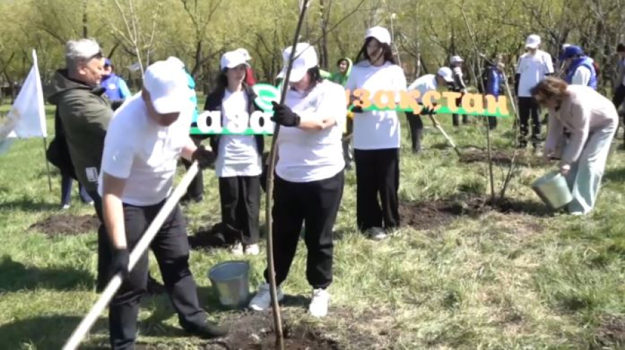 Новая аллея Единства появилась в парке Петропавловска