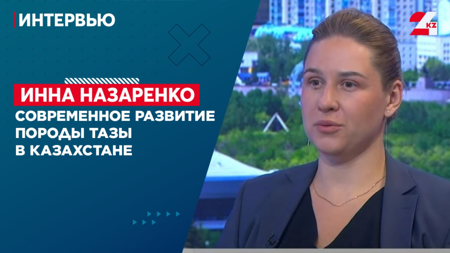 Современное развитие породы тазы в Казахстане. Инна Назаренко