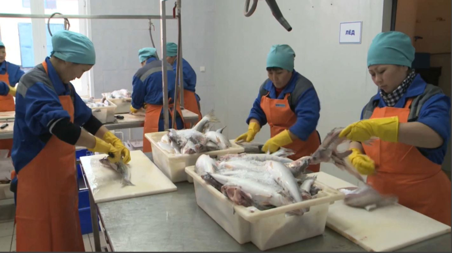 Балық импорты бәсеңдеді