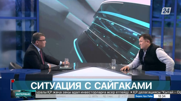 Ситуация в сайгаками. Мадияр Әлжаппар