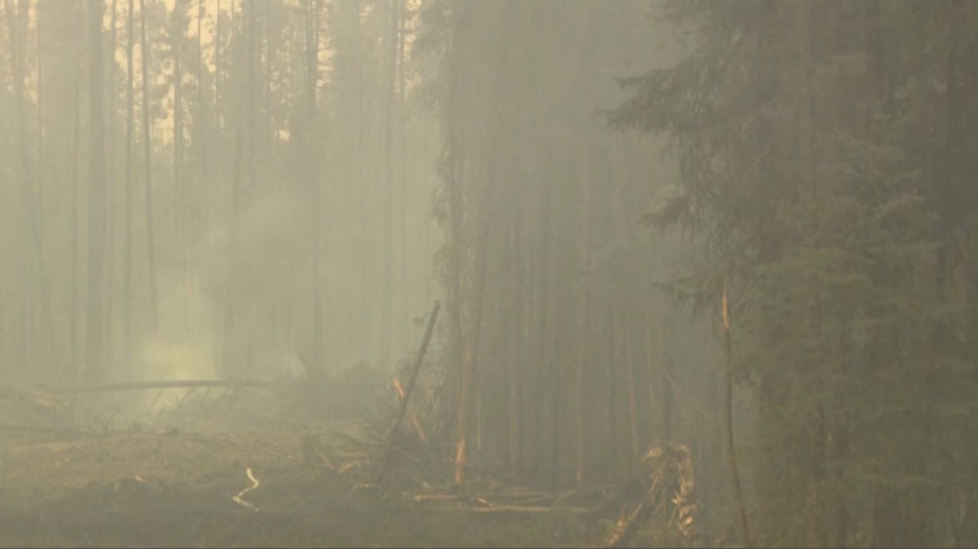 Канадада орман өртінен 25 мың адам көшірілді
