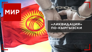 Бишкек объявил войну ворам в законе. Почему страны Шенгена укрепляют границы? | МИР