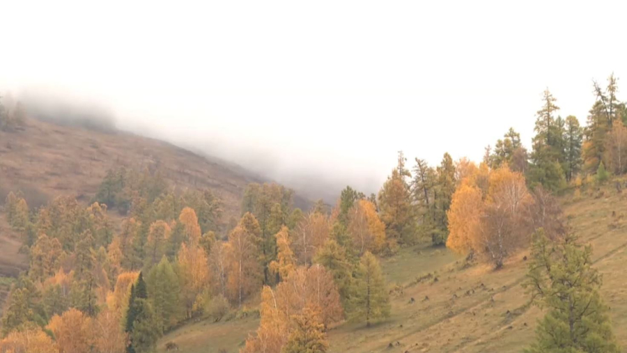 ШҚО-да жаңа туристік бағыт ашылады