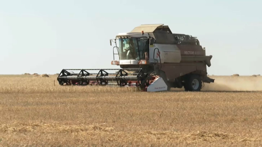 Биыл ауыл шаруашылығында тұрақты өсім байқалды