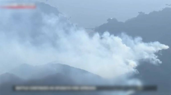 Лесные пожары в Японии: эвакуировано пять тысяч человек