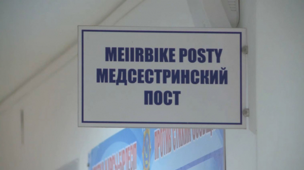 Өскеменде бас сүйекке имплант орнату операциясынан шеберлік сағаты өтті