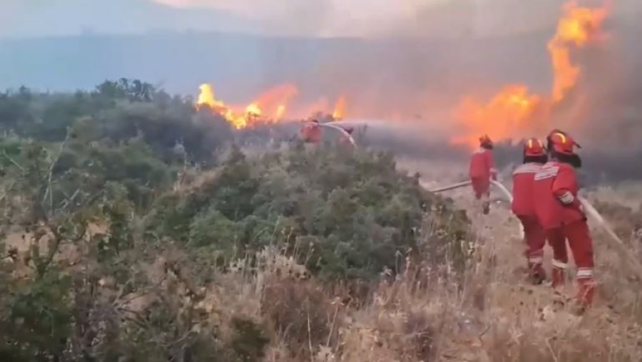 Албанияда орман өрті қаулап жатыр