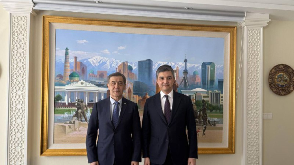 Вице-министр энергетики встретился с Генсекретарем ШОС