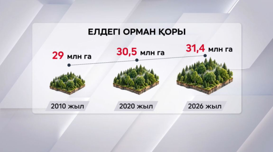 Елде орман қоры ұлғайды