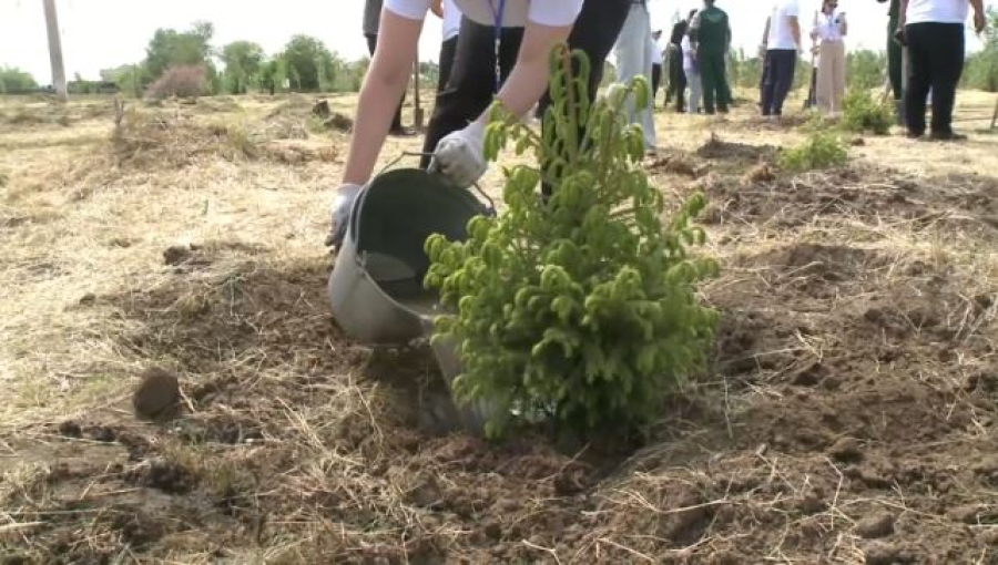 XXI сезон трудовых отрядов «Жасыл ел» стартовал в Актобе