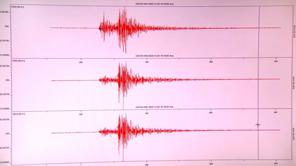 Нейрожүйе жер сілкінісіне болжау жасайды