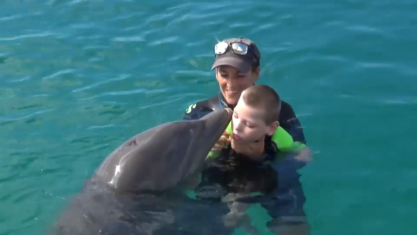 Әлемде аутизмді дельфиндер арқылы емдейді