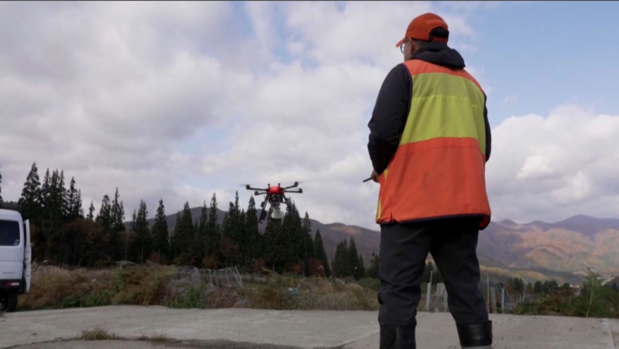 Жапонияда аюды дронның көмегімен үркітеді